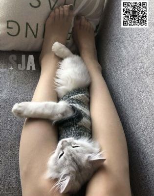 在线观看sm_1080高清视频播放