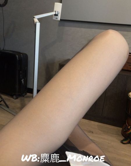 沙滩鼠_影视大全视频